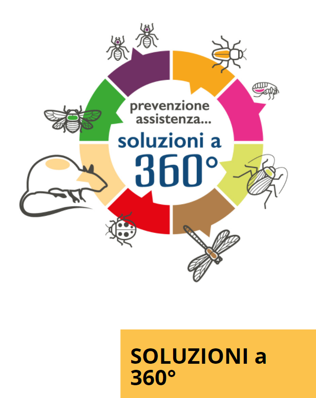 Prevenzione-e1705080280857